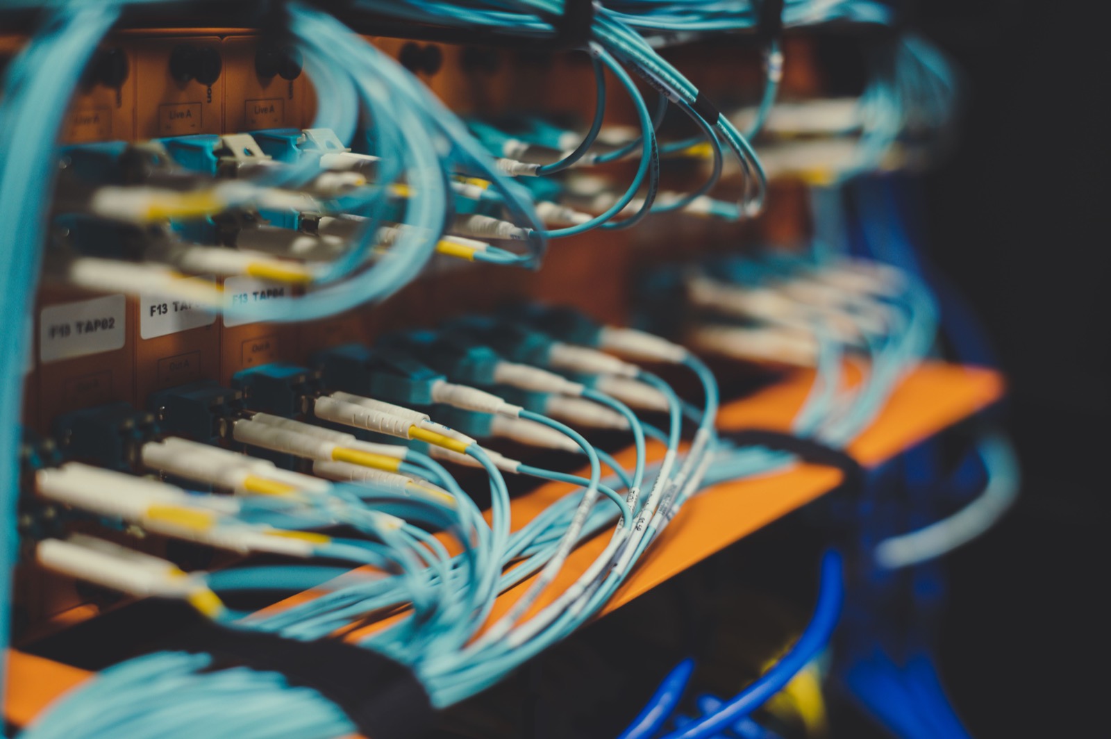 Network cabling terminated into equipment.